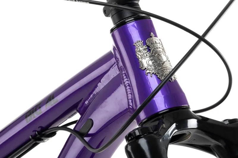 Purple hardtail outlet mountain bike